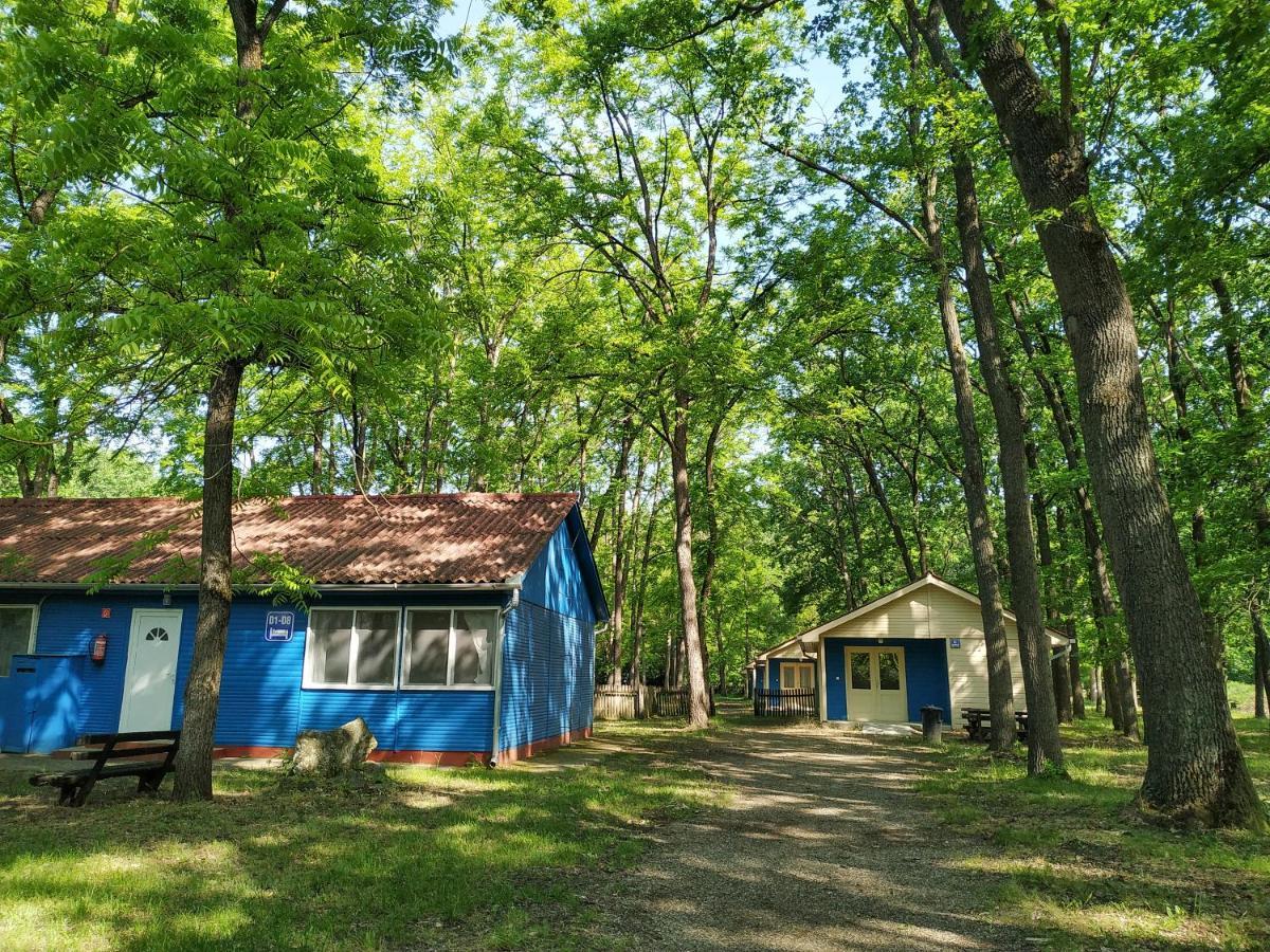 Dorcas Center&Camping Hotel Debreţin Exterior foto